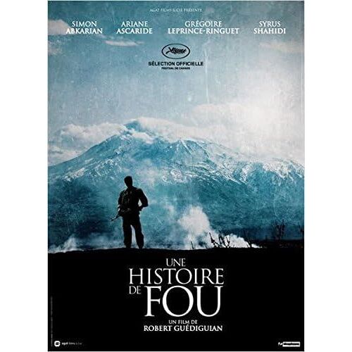 Une Histoire De Fou / Affiche Cinéma Originale 120x160 Cm Pliée. Année 2015