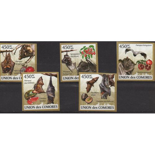 Comores Timbres Animaux Les Chauve Souris 2009