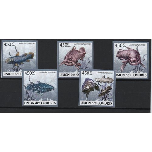 Comores Timbres Animaux Les Coelacanthes 2009 , Non Dentelés