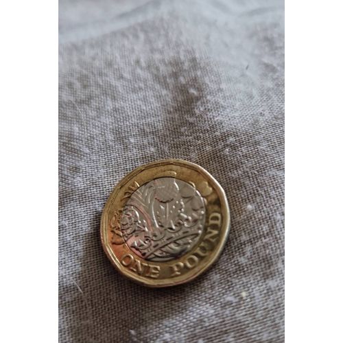 Je Vend Piece De Monnaie One Pound