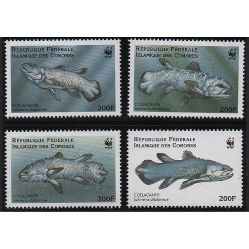 Comores Timbres Animaux : Les Coelacanthes 1998