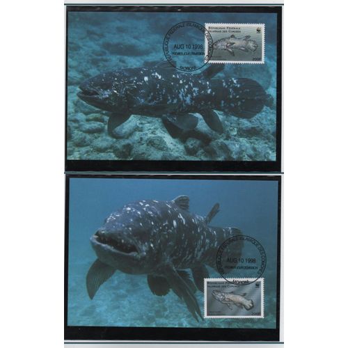Comores Cartes Animaux : Les Poissons 1998