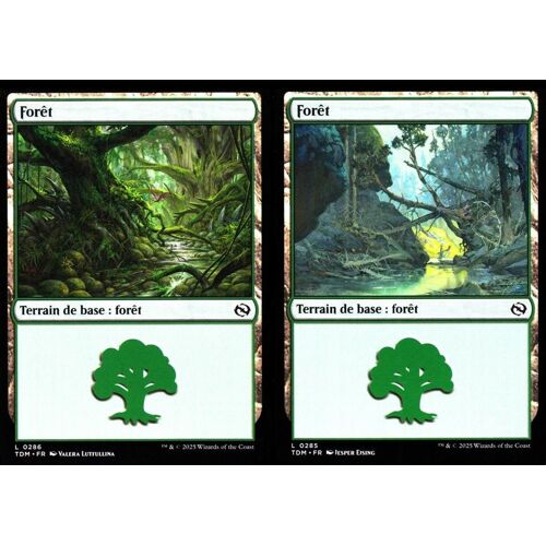 Forêt X2 - Magic - Tarkir La Tempête Des Dragons - C - 285-286