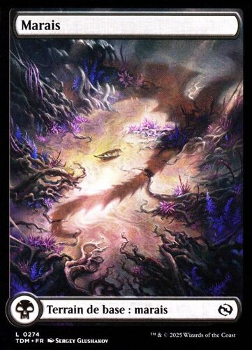 Marais - Magic - Tarkir La Tempête Des Dragons - C - 274