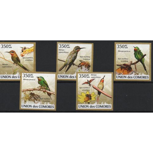 Comores Timbres Animaux : Oiseaux 2009 Non Dentelés