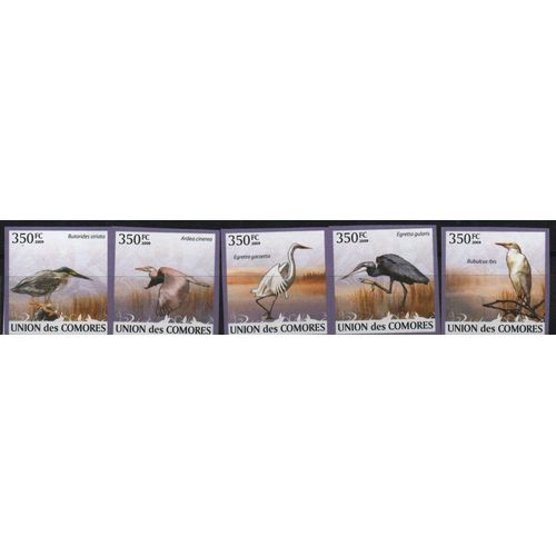 Comores , Timbres Animaux : Les Hérons 2009