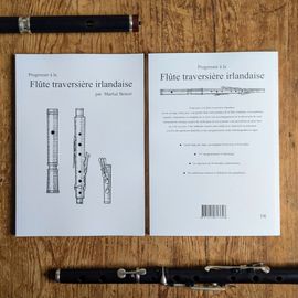 Progresser À La Flûte Traversière Irlandaise