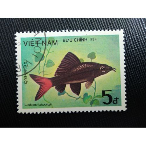 Timbre Vietnam Y T 511 Poisson Noir À Queue Rouge (Labeo Bicolor) 1984 (060409 )