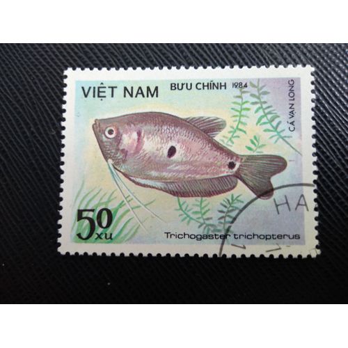 Timbre Vietnam Y T 506 Gourami À Trois Points (Trichogaster Trichopterus) 1984 (060409 )