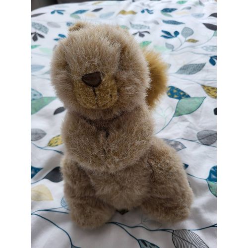 Peluche Écureuil Mf
