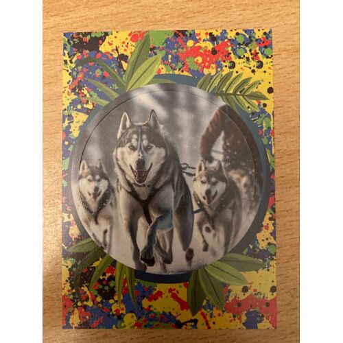 (3898) Image Panini 173 Le Monde Des Animaux Mille Et Une Couleurs 