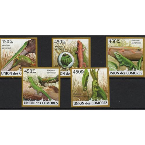Comores Timbres Animaux : Les Lézards 2009 Non Dentelés