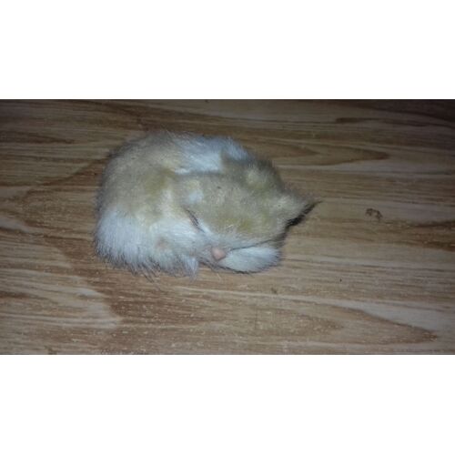 Chat