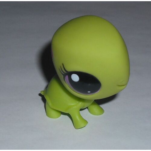 Petshop Tortue N°3524