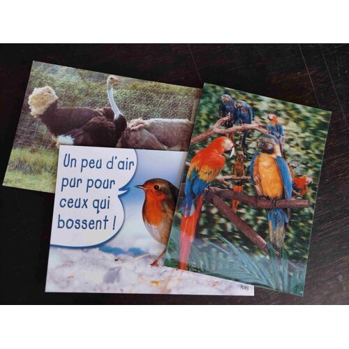 Lot De 3 Cartes Postales, Neuves : Animaux, Oiseaux, Une Carte En 3 D Trois Dimensions