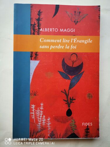 Comment Lire L'evangile Sans Perdre La Foi.