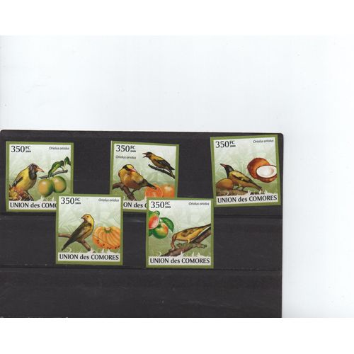Comores Timbres Animaux : Oiseaux 2009 Non Dentelés