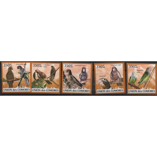 Comores Timbres Animaux : Oiseaux , Les Perroquets 2009 Non Dentelés