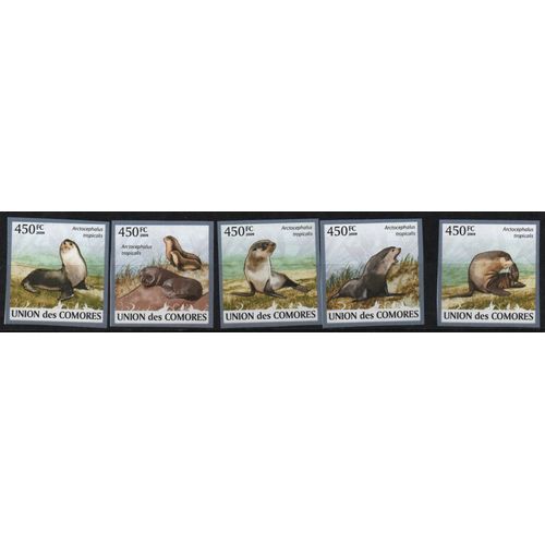 Comores Timbres Animaux : Les Phoques 2009 Non Dentelé