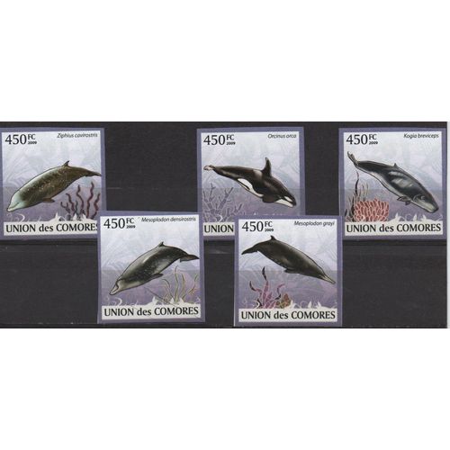 Comores Timbres Animaux Marins 2009 Non Dentelés