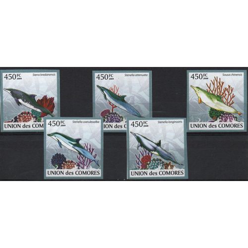 Comores Timbres Animaux Marins 2009 Non Dentelé .