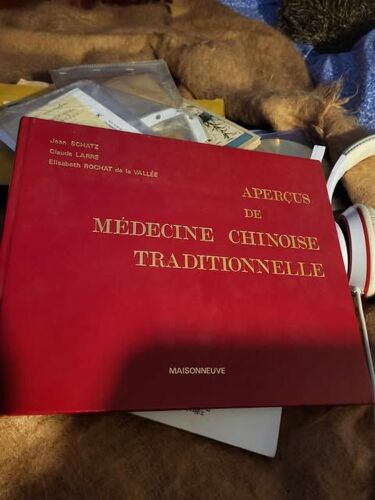 Aperçus De Médecine Chinoise Traditionnelle