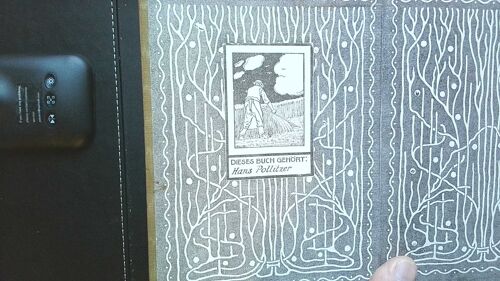 Deux Magnifiques Livres _ Reliure Tre Belle Rare Et Originale [Buchverlag Für Das Deutsche Haus _ 1908 _ Leipzig] :  1. Barend Carter _ Fahrendes Volk 2.   William Makepeace Thackeray _ Der Diamant -
