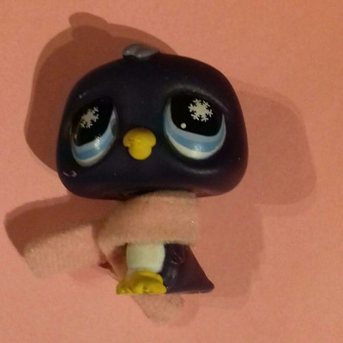 Petshop Pingouin 686