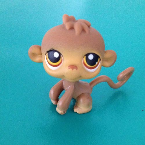 Petshop 281 Singe Orang Outang