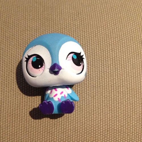 Petshop Pingouin 3066 Bleu Assis