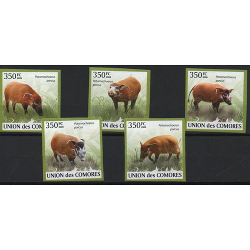 Comores Timbres Animaux 2009 Non Dentelés