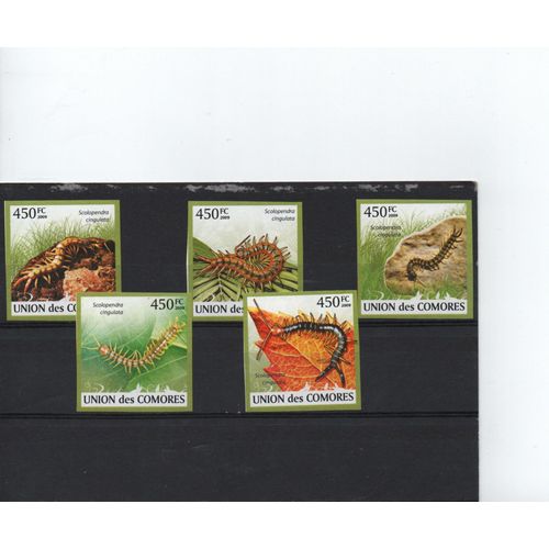 Comores Timbres Animaux : Les Scolopendres 2009 Non Dentelés