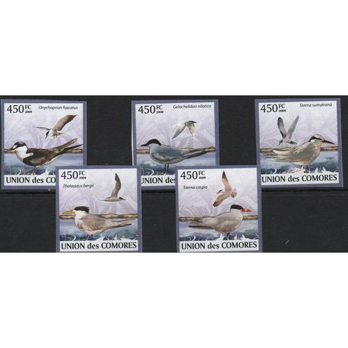Comores Timbres Animaux : Les Mouettes 2009 Non Dentelés
