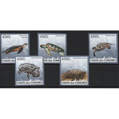 Comores Timbres Animaux : Les Tortues 2009 Non Dentelés