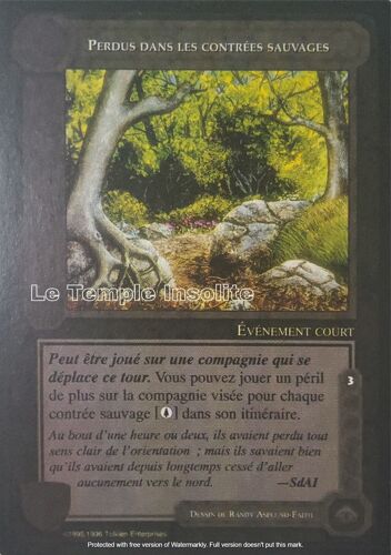 Carte Le Seigneur Des Anneaux - Perdus Dans Les Contrées Sauvages 1996
