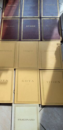 Lot De 12 Beaux Livres  De Peinture / Editions "Le Musee Personnel"/ Goya/Fragonard/ Raphael/Greco/Titien/Botticelli/Tuner/Bosch/Brugel/Durer/Rembrandt/ Illustrations Papier Glace