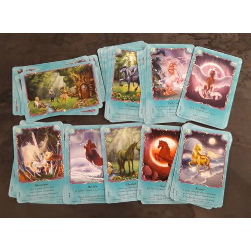 Lot Bella Sara Fées De La Lune, Série Complète Des 55/55 Communes.