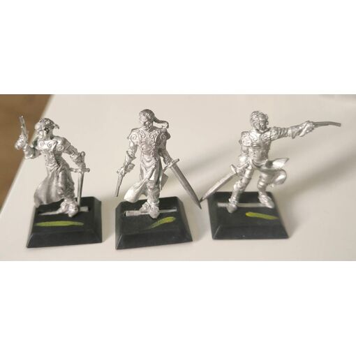 Lot collection Confrontation Rackham - figurines peintes et