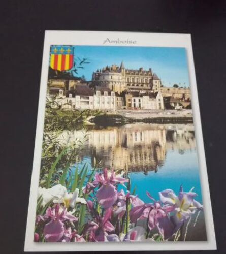Carte Postale Amboise En L'état Sur Les Photos