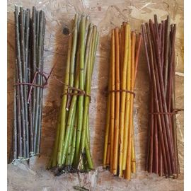 40 Plants Saules Osier 10 Rouges 10 Verts 10 Marrons 10 Jaunes Pour Vannerie Ou Deco