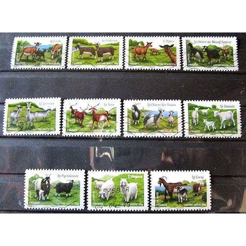 2015. Adh1096; Adh1097;Adh1098; Adh1099;Adh1100;Adh1101;Adh1102;Adh1103;Adh1104;Adh1105;Adh1107: Faune: Les Chèvres De Nos Régions.