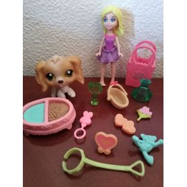 Lot Petshop Accessoire Et Poupée Blythe