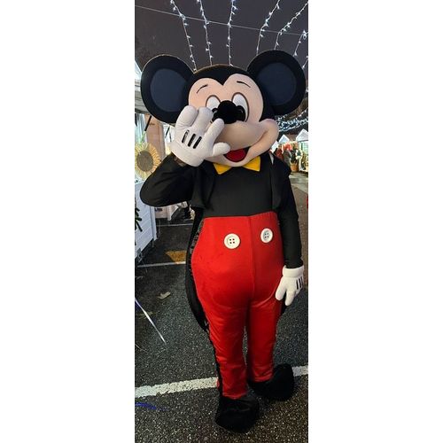 Location De La Traditionnelle Et Incontournable Mascotte Mickey Mouse !