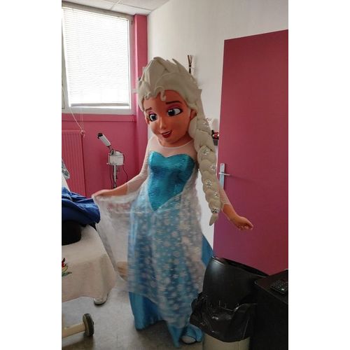 Location Mascotte La Reine Des Neiges