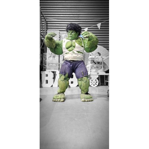Location Mascotte Géante Hulk