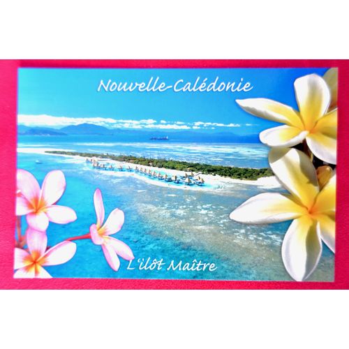 Carte Postale Nouvelle-Caledonie .L'Îlot Maître. Noumea. Paysage, Fleurs.