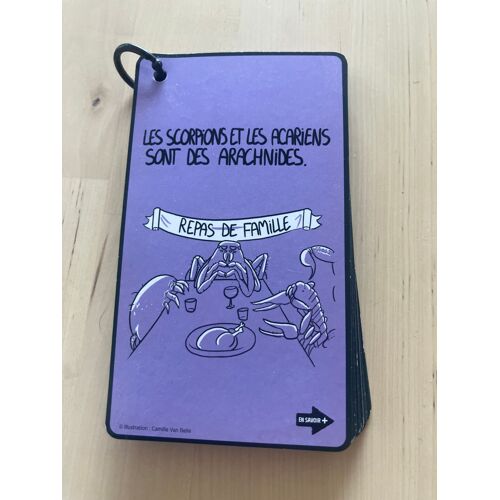 Jeu De Cartes - Camille Van Belle