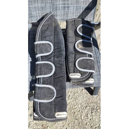 Protections De Transport Poney