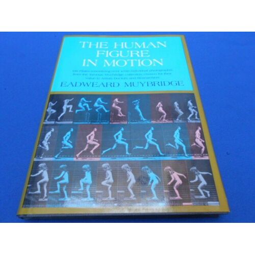 The Human Figure In Motion