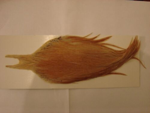 Cou De Coq Metz Roux Clair